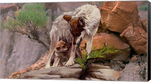 Framed Summer Shade Print