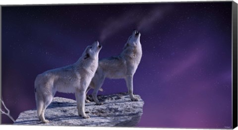 Framed Stargazers Print