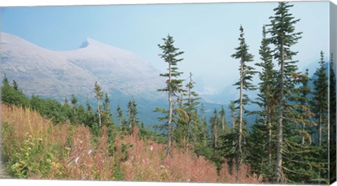 Framed Glacier National Park 17 Print