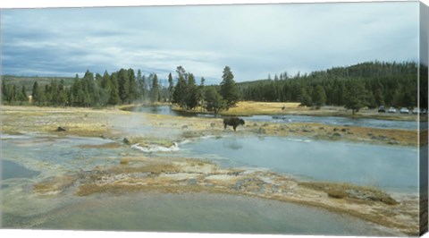 Framed Yellowstone 3 Print