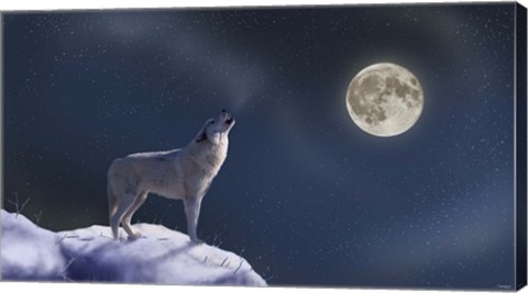 Framed Moon Dog Print