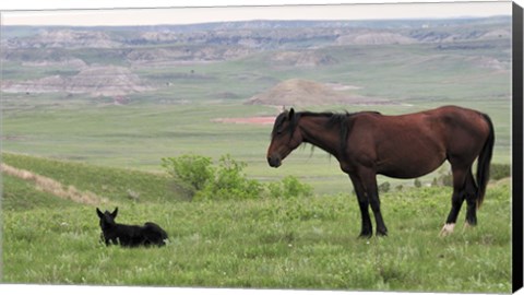Framed Wildhorses 27 Print