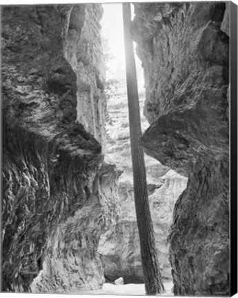 Framed Bryce Canyon 12 Print