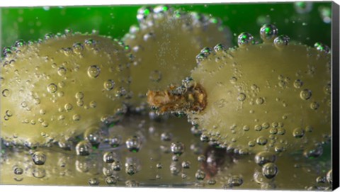 Framed Green Grapes Underwater Print