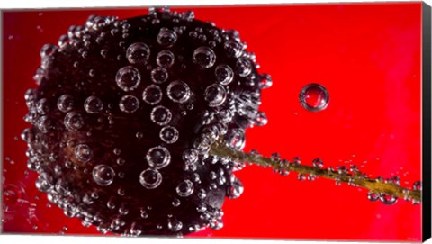 Framed Cherry Covered In Water Drops V Print