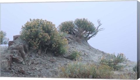Framed Theodore Roosevelt National Park 34 Print