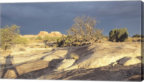 Framed Canyonland 14 Print