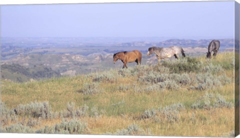 Framed Wild Horses 24 Print