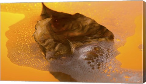 Framed Floating Fall Leaf II Print