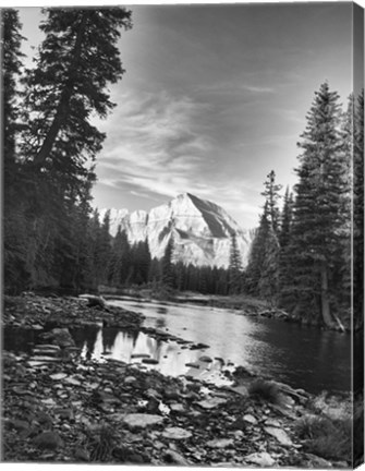 Framed Trees And Mountains White Vertical Print