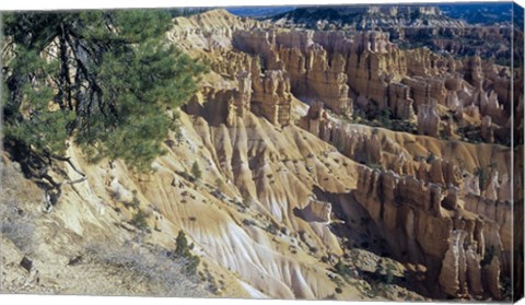 Framed Bryce Canyon 3 Print