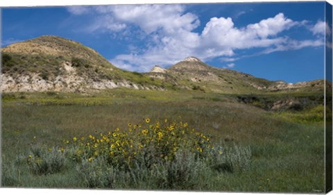 Framed Wildflowers And Mountiains With Clouds Print