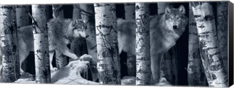 Framed Silver Tone Moon Shadows 2 Print