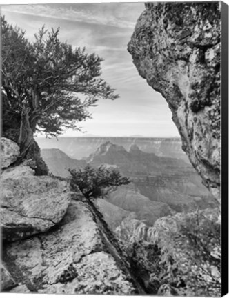 Framed Grand Canyon 7 Print