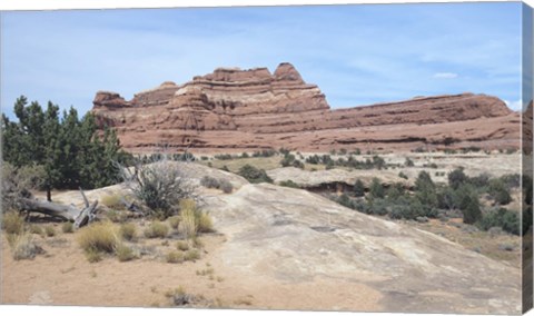 Framed Canyonland 21 Print