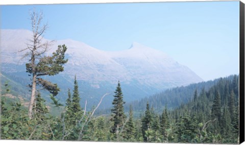 Framed Glacier National Park 19 Print