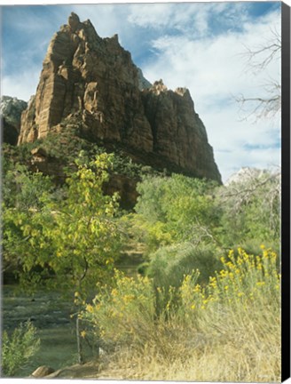 Framed Zion 5 Print