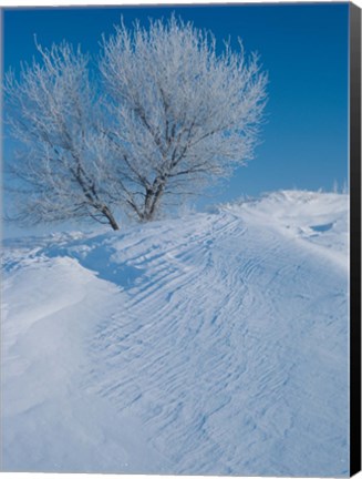 Framed Snow Terrain Tree V Print