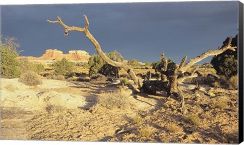 Framed Canyonland 13 Print