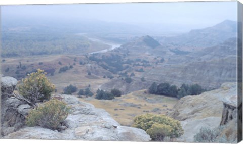 Framed Theodore Roosevelt National Park 38 Print