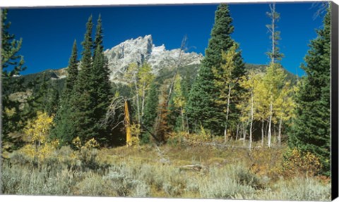 Framed Grand Teton 11 Print