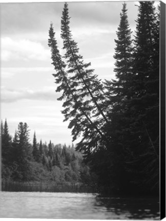 Framed Ash River 5 Print