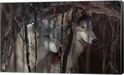 Framed Shadowers Print