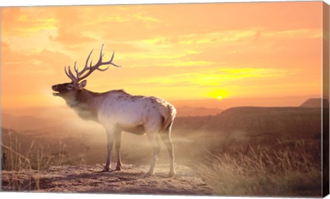 Framed Elk Sunrise In The Badlands Print