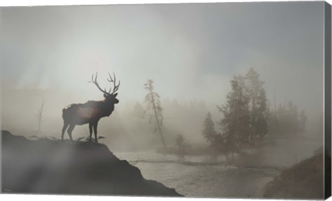 Framed Yellowstone Elk Print