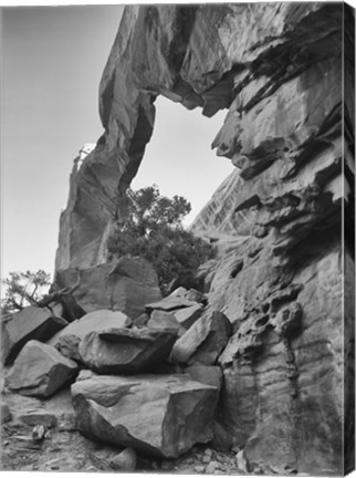 Framed Arches 27 Print