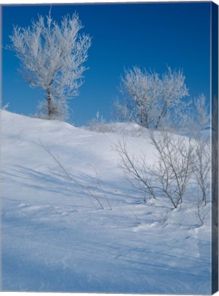 Framed Snow Terrain I Print