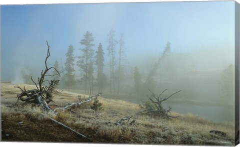 Framed Yellowstone 4 Print