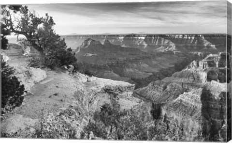 Framed Grand Canyon 1 Print