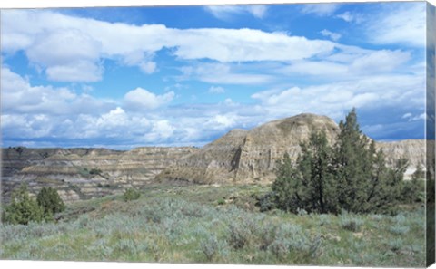 Framed Theodore Roosevelt National Park 4 Print