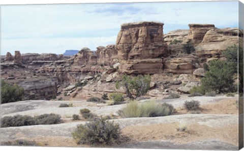 Framed Canyonland 4 Print