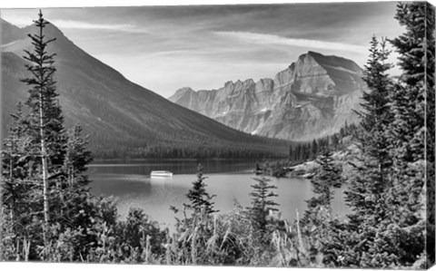 Framed Mountains Through Trees Print