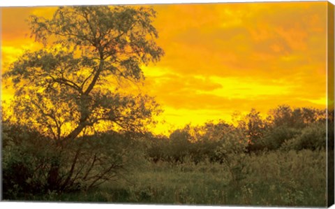 Framed Sunrise Over Green Field Print
