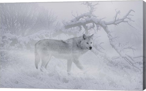 Framed Zoo Wolf 4 Print