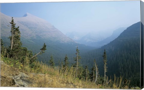 Framed Blue Mountains And Plush Evergreens Print