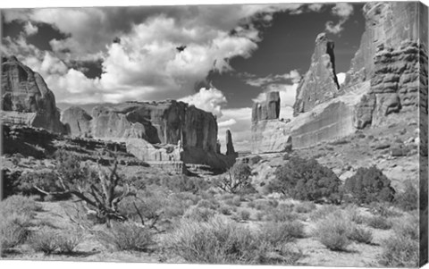 Framed Valley Of Rock And Shrubs Print
