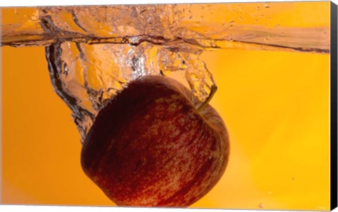 Framed Apple Underwater II Print