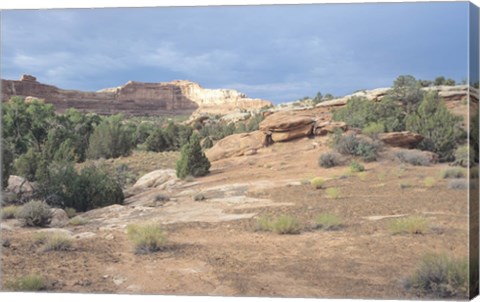 Framed Canyonland 20 Print