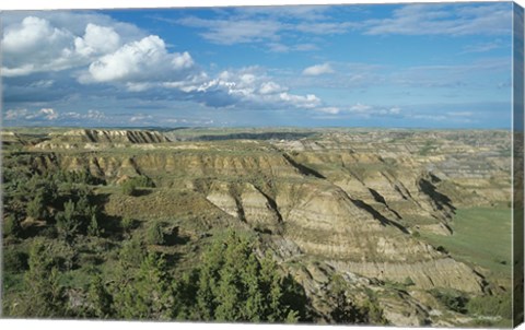 Framed Theodore Roosevelt National Park 7 Print