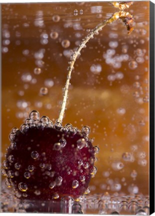 Framed Cherry Underwater Covered In Water Drops I Print