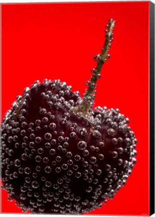 Framed Cherry Covered In Water Drops III Print