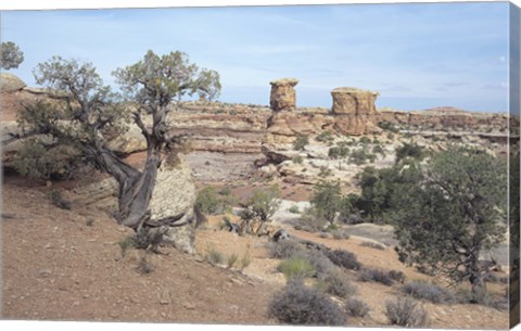 Framed Canyonland 8 Print