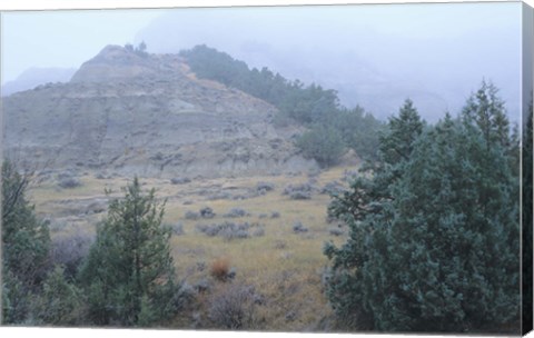 Framed Theodore Roosevelt National Park 11 Print