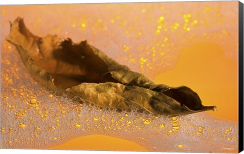 Framed Yellow Fall Leaf Floating In Bubbles II Print