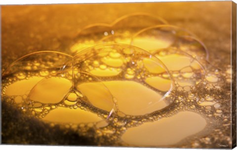 Framed Water Reflecting Yellow Print