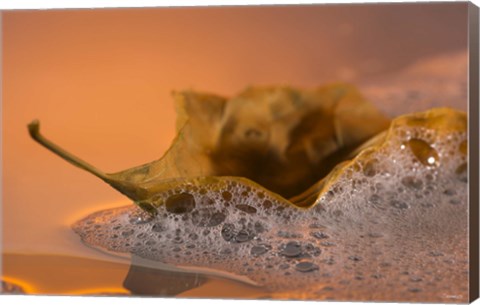Framed Yellow Fall Leaf Floating In Bubbles I Print